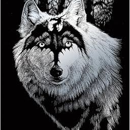 ROYAL BRUSH Silver Foil Engraving Art Kit, 8 by 10-Inch, Dragon Wolf-23