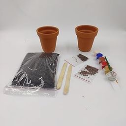 Kumhari’s Paint and grow kit || children colouring and planting kit ||-image-60