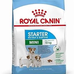 Royal Canin Adult & Baby Mini Starter Pellet Dog Food, Meat Flavor, 4 Kg-picture-48