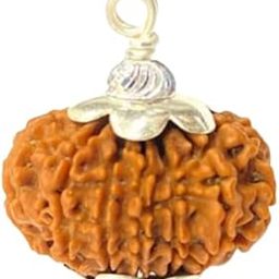 Amazing 20 Mukhi Rudraksha Original Certified By Lab Nepali Ruthratcham Pendant AAA Grade Bees Mukhi Rudraksh For Men & Women 20 मुखी रुद्राक्ष ओरिजिनल-60