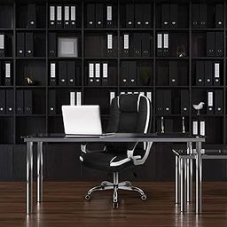 PALARIAL Ergonomic Executive High Back Office Chair, Home Desk Office Chair, Revolving Chair with Tilting Mechanism and Metal Base -Black (Black)-image-16