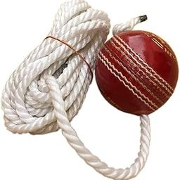 YS Cricket Training Ball with Hanging Rope, Red Leather Practice Ball-image-91