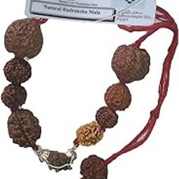 Maalavya Original Real Rudraksha Beads (1 to 9 Mukhi)-7