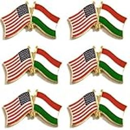 Box of 12 International & US Crossed Double Flag Lapel Pins, Country Flag & American Flag Friendship Tie Pin Badges-picture-19