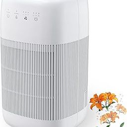 Afloia Air Purifier and Dehumidifier in 1, Air Purifier with Efficient Filter, Small Dehumidifier Combined with Air Cleaner, Eliminates Pet Odor, Dust and Smoke for the-image-57