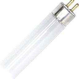 Lights of America 11006 - LOA RB10T5 (F10T5/CW) Straight T5 Fluorescent Tube-12