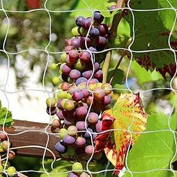 Tcamp Heavy-Duty Polyester Garden Trellis Net Plant Support Netting for Climbing Plants Outdoor, Flexible String Net for Bean Pea, White Grow Tent (4.9Ft x 30Ft, 3.5" Opening Mesh, 1 Pack Plant Net)-17