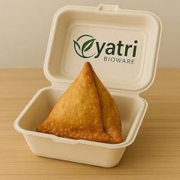 YATRI BIOWARE Eco-Friendly Disposable Burger & Snack Boxes Biodegradable Takeaway Containers – Compostable, Durable, and Microwave-Safe (6x6 Inch) (Pack of 25)-image-86