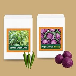 Valar Purple Cabbage+ Green Chilli | Open Pollinated Non-GMO Seeds | Home Gardening, Balcony Farming, Organic Veggies-picture-10