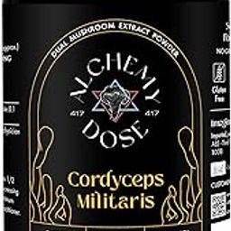 Alchemy Dose - Cordyceps Militaris Extract Powder - Premium 100% Pure Mushroom Supplement for Enhanced Energy, Endurance, Immune Support & Antioxidant Benefits, Packagaing Type: Dose Bag, Size: 60 Servings-image-48