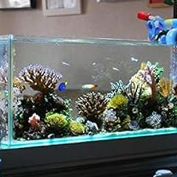 Parko Home Decoration Turtle Aquarium Tank Beautiful Fashion Clear Glass Mini Fish Tank Aqua Habitat Aquarium Tank Only Rust Resistant (Colour May Vary) (9x9x12 Inches) 15L-image-37