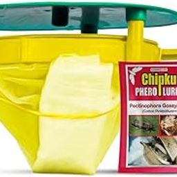 Chipku Pheromone Trap for Pink Bull Worm -Trap and Lure Useful in Cotton (Pack of 25 Trap+ 25 Lure)-image-32