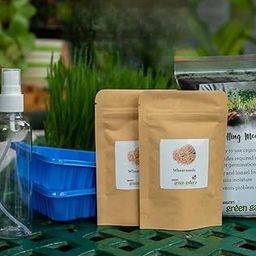 Easy Wheatgrass Microgreen Grow Kit, Complete DIY Growing Kit, 100% Natural, Chemical-Free, Ready to Harvest in 10-12 Days, Indoor Gardening Kit for Home & Kitchen-image-80