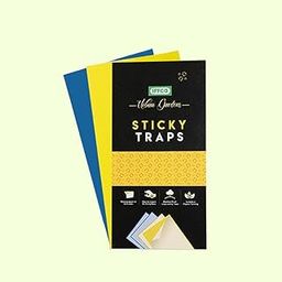 IFFCO Urban Gardens - Sticky Traps (Pack of 10) - Non-Toxic, Chemical Free Traps - Yellow for Aphids, Whiteflies, Jassids & Blue for Thrips, Leaf Miners - Durable, Waterproof, Safe for Plants-image-93