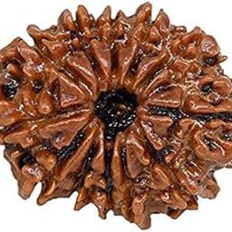 BRAINCORD 12 Mukhi Nepali Rudraksha Original Certified by Lab Barah Mukhi Face Natural Rudrakshas with Capping & Red Thread 12 Faced Rudraksha for Men & Women-28