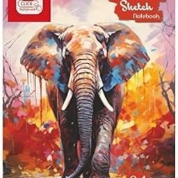 FIRST CLICK Sketch Book, A4 Size, 140 GSM, 50 Sheets with 50 Butter Paper, (100 page) Spiral Bound Drawing Notebook Perfect for Sketching, Coloring and Painting Spiral Bound ( The cover design coming as per stock available) Snow white Paper-image-1