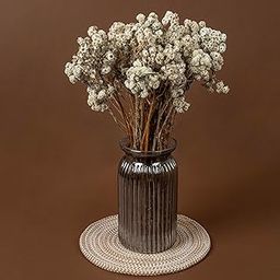 IDIKA Living Himalayan Daisy Dried Flowers | Natural Dried Blooms| 70 Grams | Naturally Preserved, Delicate & Everlasting | Perfect for Home Decor, Floral Arrangements, Bouquets & DIY Crafts(White)-image-37