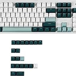 Double Shot 122 Dyed PBT Shine Through OEM Profile Rainbow Carbon Sunset Backlit Keycaps for MX Switches Mechanical Keyboard (Only Keycap) (Botanical 122 Key)-32