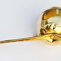 ASB-100% Pure Brass/Pital Nariyal/Daab/Brass Coconut for Puja, Standard Size (Pack of 1)-image-22