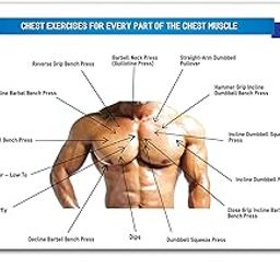 Tamatina Gym Posters - Gym Posters Motivational - Gym Posters for Wall - Gym Posters Large Size – 36 inches x 24 inches (92 cms x 61 cms) – Workout Posters Large - G26-image-71