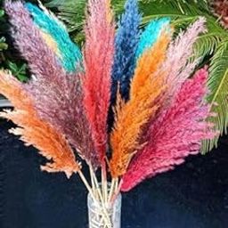 Dried Pampas Grass Stems, Multi-Colored Decorative Plumes, 5 Pieces, Multicoloured-image-39