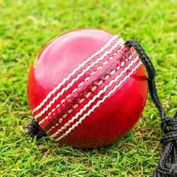 Red Training Cricket Leather Hanging Ball Heavy Practice-Ball for Senior Players | Pack of 1 (150Gm-170Gm Each)-image-28