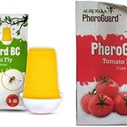 BC Combo Pack Pheromone Lure for Bactrocera Cucurbitae Glass Trap, Pack of 20 | & | TA Tuta Absoluta Lure | Tomato Leaf Miner Control for Agriculture | Pack of 5-image-67