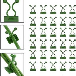 essentia decor Wall Plant Climbing Clip, Reusable Plastic Plant Support Clips, Self-Adhesive Money Plant Support Wall Vines Fixture Wall Hook Vines Climbing Clip for Home (Support Clips, 30, Pack)-29