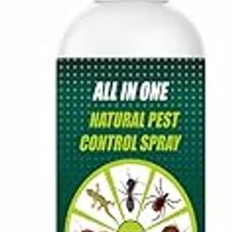 Pest Repellent Control for Home | Ant, Cockroach, Rat, Lizard, BedBugs, Spider | 100% Natural | No Kill Just Repel ALL-IN-ONE PEST REPE-LLENT (USA FORMULA) (1)-12