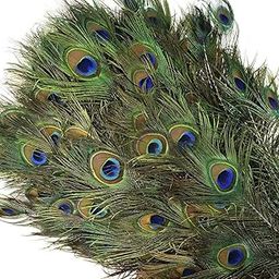 Forty Wings 10 Pcs Beautiful Real Natural Mor Pankh Peacock Eye Feathers Full Length for DIY Craft Wedding Party Home Decorations (Pack of 10)-image-58