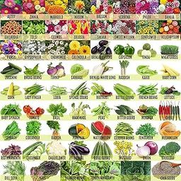 Seed Wala Vegetables & Flowers 45 Variety Seeds | Hybrid Seeds-image-40