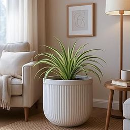 UGAOO Tokyo Round Pots for Plants (40 CM, Whitestone) | Durable Planters for Indoor & Outdoor Use | Stylish Flower Pot Gamla for Living Room, Balcony, Garden-image-1
