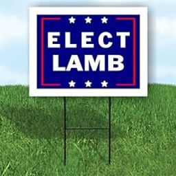 ELECT LAKE - Single Sided Yard Sign Road Sign with Stand - Driveway Signs for Street, Lawn, Block, House, Real Estate - Yard Signs, Custom Sign, Personalized Signage - 18" x 24"-image-99