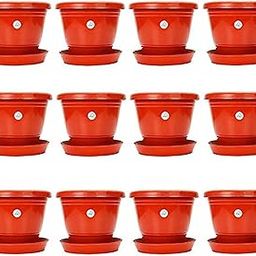 Kraft Seeds by 10CLUB Planters with Bottom Plates - 12 Pcs (8 Inch, Red) | Gamla Pots for Home | Plant Containers | Indoor Outdoor Balcony Flower Pots | Drip Tray Pots with Plates-image-33