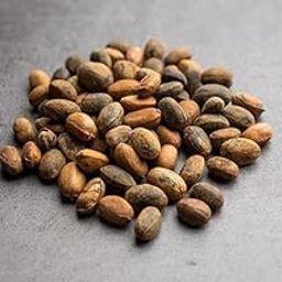 jamalgota seeds (25 gm)-image-60