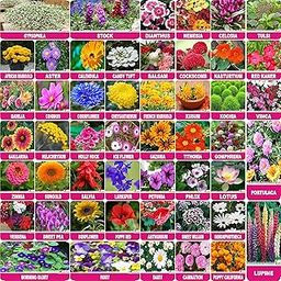 FLARE SEEDS Flower Seeds : Plant Seeds Outdoor Combo of 50 Packet of Seeds Garden Flower Seeds Pack-image-1