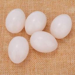 False Egg Dummy Egg Fake Egg Pigeon for Hatch Incubation Breeding Pigeon Hatching Supplies Simulation for Hatch Breeding (Eggs 5)-21