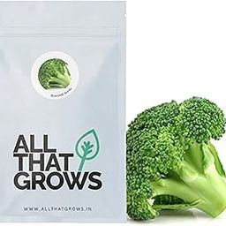 AllThatGrows Non-GMO Broccoli Vegetable Gardening Seeds (Pack of 50 Pieces)-image-65
