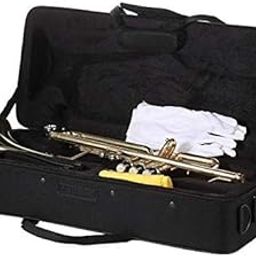 SAI Musicals Trumpet only Hard Case (Black)-picture-25