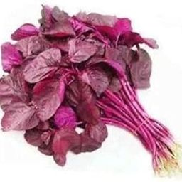Amaranth Red Seeds Hybrids F1 Vegetable Seeds for Home Garden for Planting for All Season (200 seeds) By Zabbus-image-4
