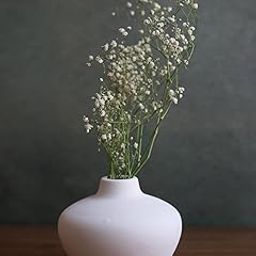 WEAVING HOMES Esoteric Vase Round - White| Vase for Flower Plants | Office, Living Room, Bedroom, Table Top Decorations Items | Home Decor Centerpiece | Pampas Grass Decor | Any Occasion Gift-image-61