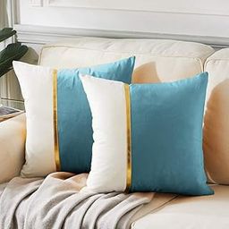 AEROHAVEN™ Set of 2 Premium Velvet with Gold Stripe Decorative Throw Pillow/Cushion Covers with Invisible Zipper - (16 x 16 Inch, Aqua)-image-31