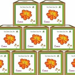 Sow and Grow Mini Cosmos Flower Grow Kits – Set of 9 | Easy-to-Grow DIY Gardening Gift Pack | Eco-Friendly Return Gift Idea for Kids & Adults | Best Suited for 25–40°C Temperatures-image-52