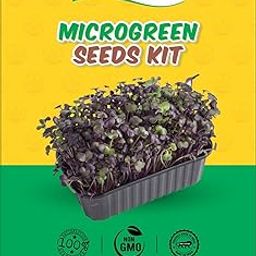 HORTICA Microgreen Seeds Kit | Pack of 10 Varieties - 10,000+ seeds | High Germination | Easy to grow-picture-20
