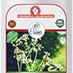 Erwon® Weeds Hunter Organic Essential Powerful Liquid Spray for Removing all types of Wild weeds (200 ml)-image-63