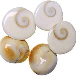 Krisha Natural Gomati/Gomti Chakra Original for Puja (White) – 5 Pieces-23