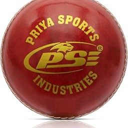 PSE ABV Red Leather Priya Sports Cricket Ball Practice Match (Standard Size)-image-32