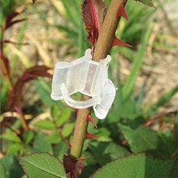 Siddhi Garden Plant Grafting Clip 4 to 6mm Grafting Clip White/Plant Straightener Clip/Garden Plants Seedling Tools Fruit Vegetable Grafting Clips Pack of (30)-image-76
