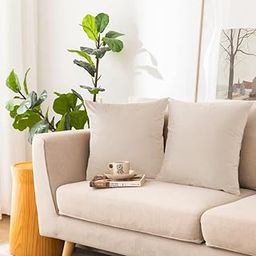 HOUM DEKO Cushion Cover – Velvet Soft Pillow Covers for Sofa, Bed, Car – 16x16 inch Square Decorative Throw Pillow Cover – Breathable Fabric – Set of 2-image-40