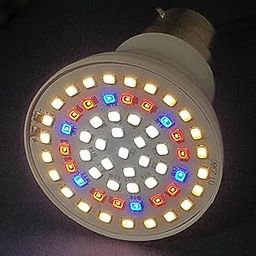 9 Watts BRCWWW_60 Led Grow Light Bulb For Indoor Plants, Balanced Full Spectrum, B22 With 90 days warranty-26